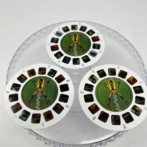 View master reels bugs and more